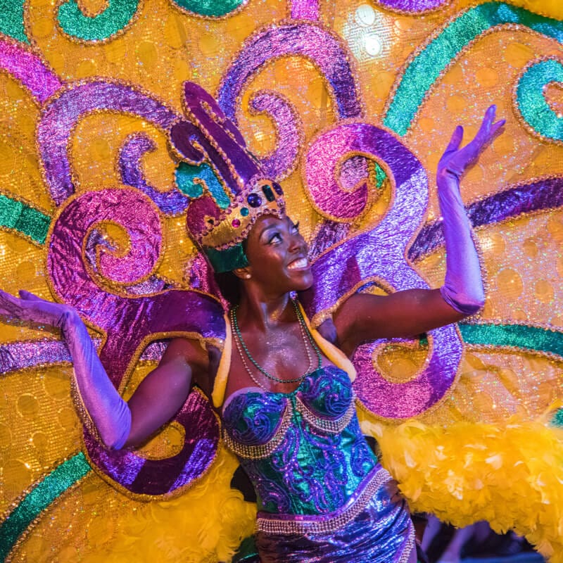 mardi gras baskets