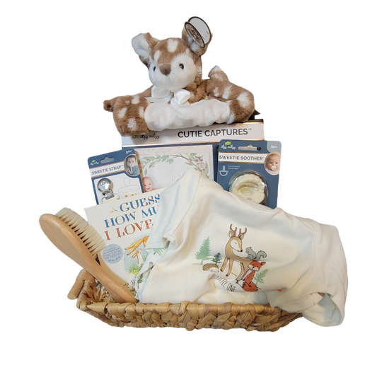 Hello Baby Gift Basket