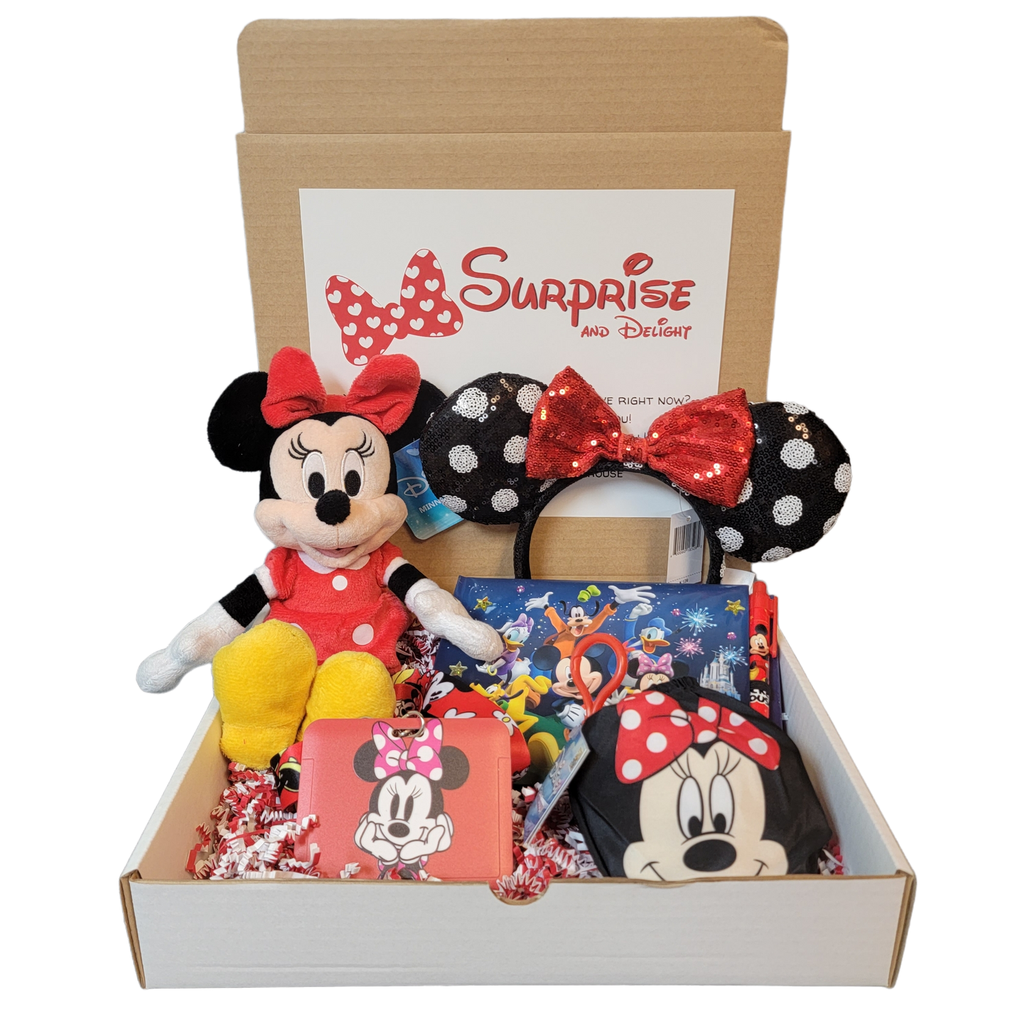 Surprise Minnie Mouse Box!