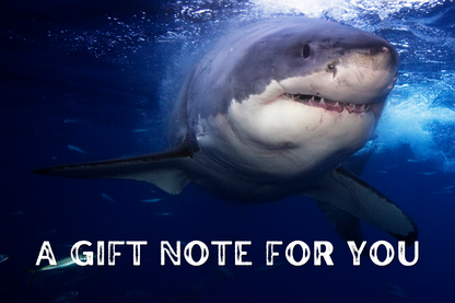 Shark Attack! Snack Box