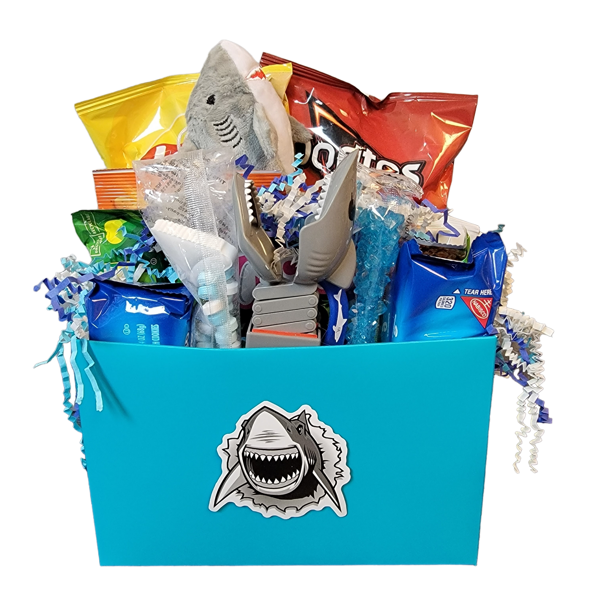 Snack Box with Ice Pack Shark